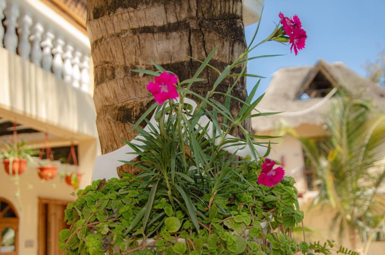 Zanpalm Boutique Hotel Michamvi 외부 사진